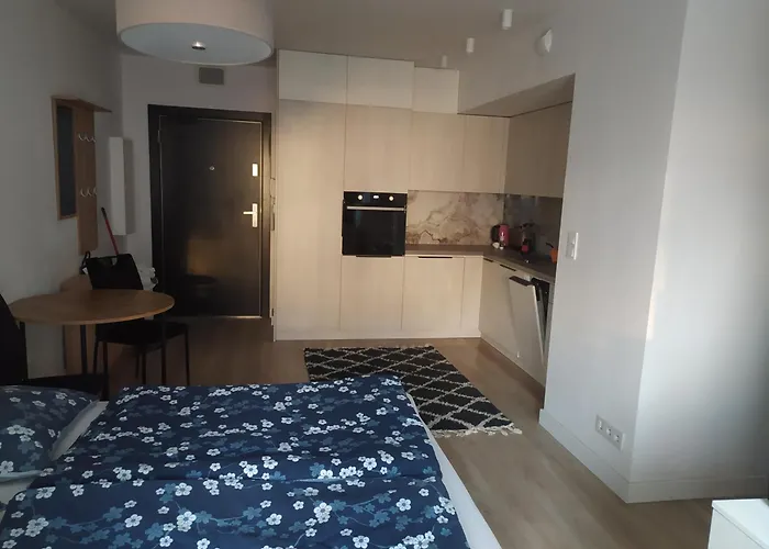 Apartment Centrum Gdanska Torunska 15 *